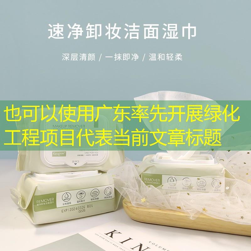 广东率先开展绿化工程项目